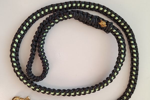 Koiran talutushihna 1.2m