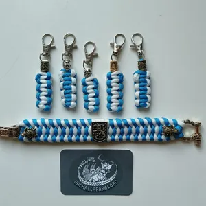 Suomi leijona kuva 1