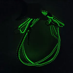 Odinin korpin talutin kuva 2