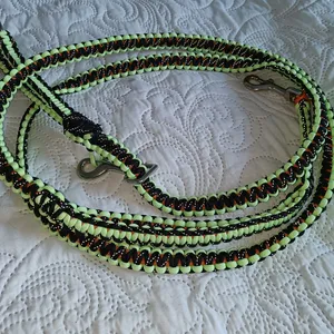 Odinin korpin talutin kuva 1