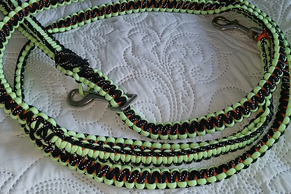 Odinin korpin talutin